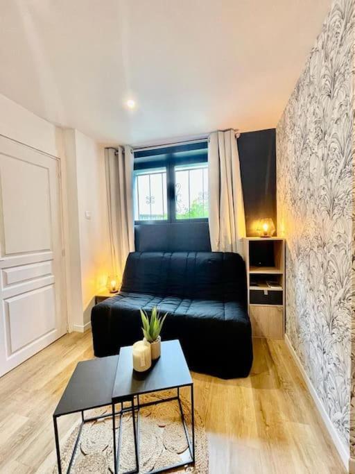 Le Studio Du Port Châteauneuf-sur-Loire Extérieur photo